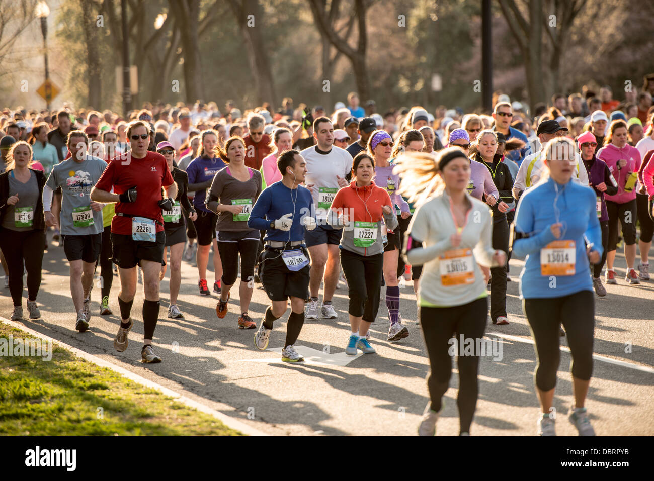 WASHINGTON DC, USA Runners in the 2013 Cherry Blossom 10Mile Run