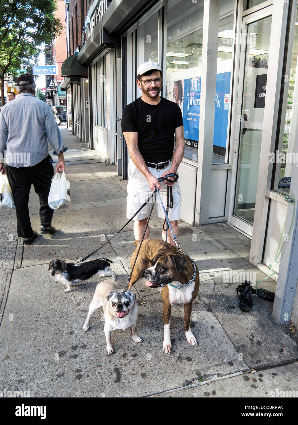 proud owner poses on Hells Kitchen sidewalk with 3 handsome purebred dogs of comically different shapes & sizes Manhattan Stock Photo