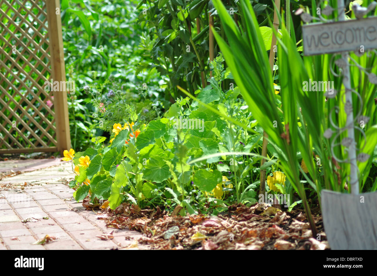 Welcome to my garden stock photo alamy