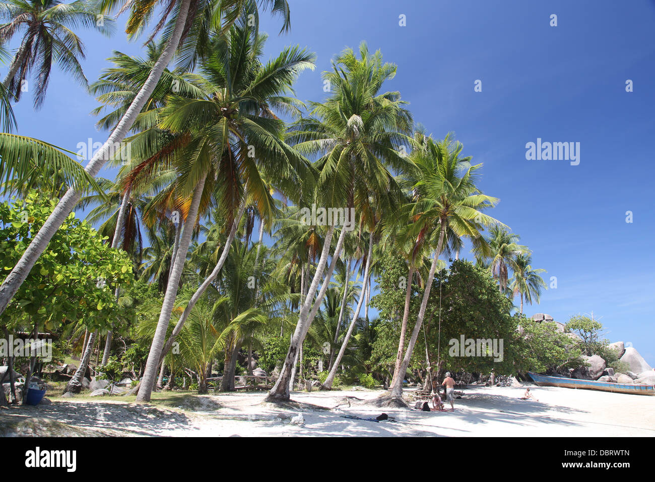 Sai Nuan Beach, Koh tao, Thailand Stock Photo