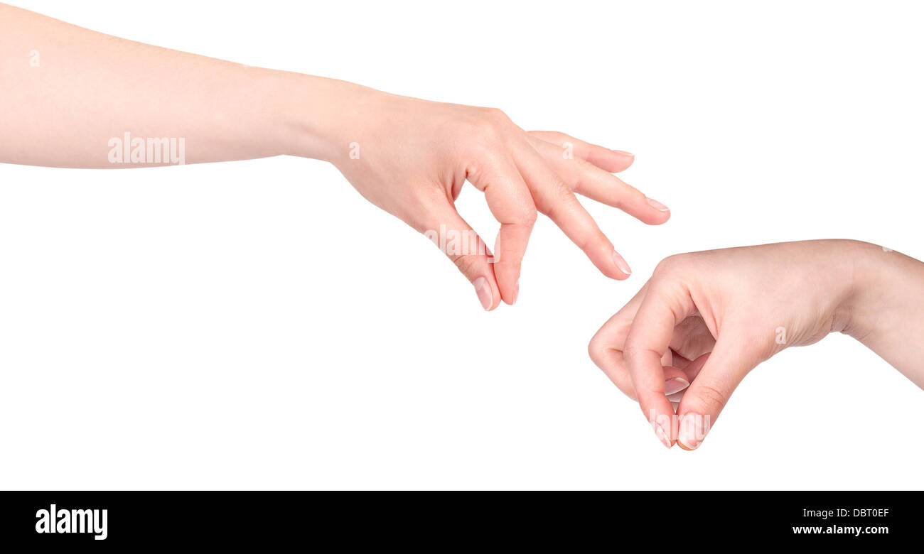 красивые руки. красивые женские руки. нежные женские руки. молодые женские руки. красивые руки.