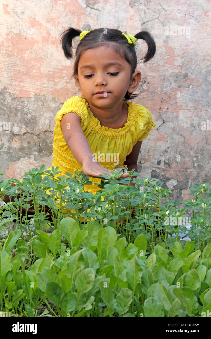 Girl in the  fenugreek spinach vegetable garden bed Stock Photo