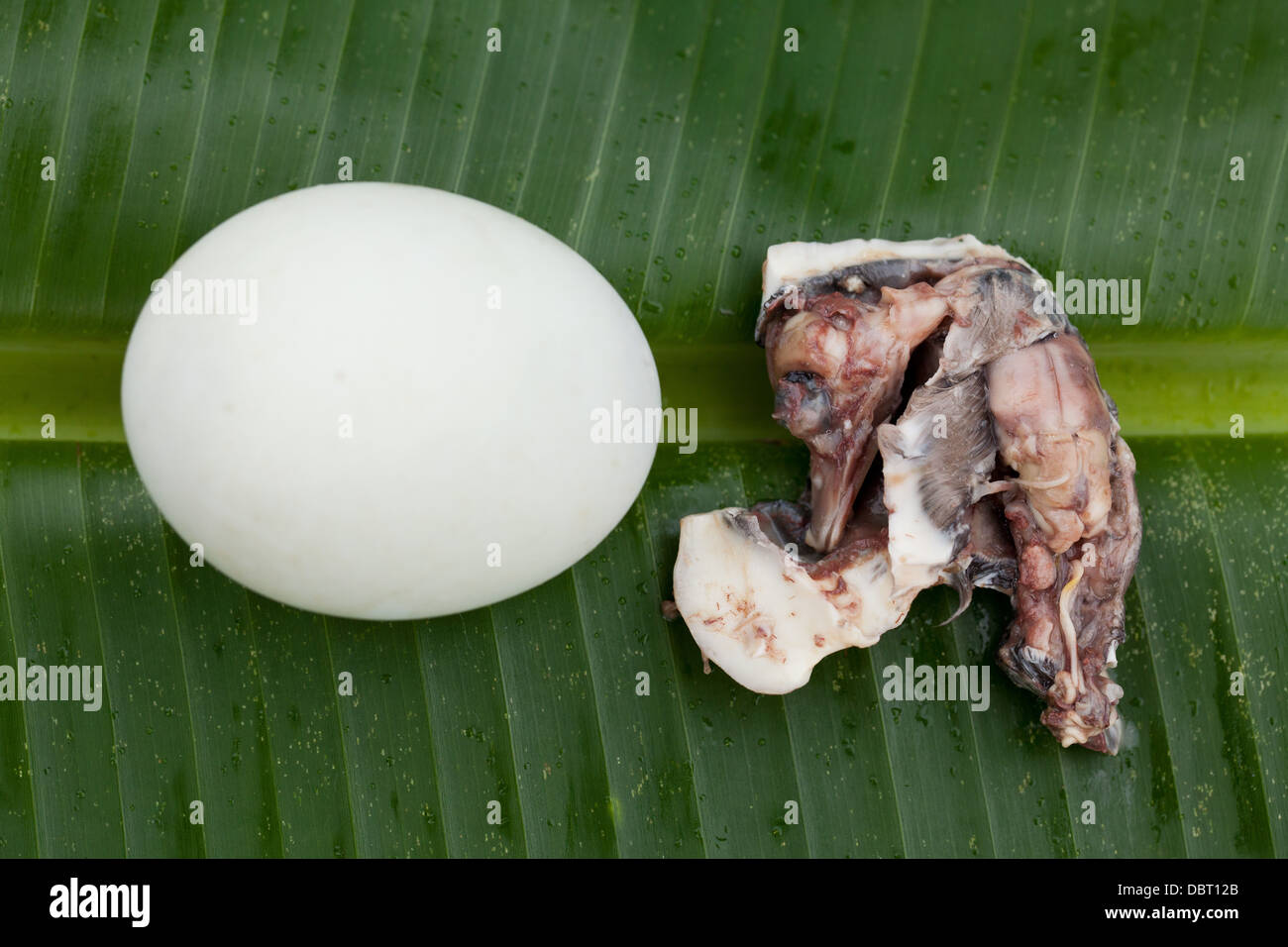 A duck embryo from a shelled balut, or fertilized duck egg, is pictured alongside a whole one in Oriental Mindoro, Philippines. Stock Photo