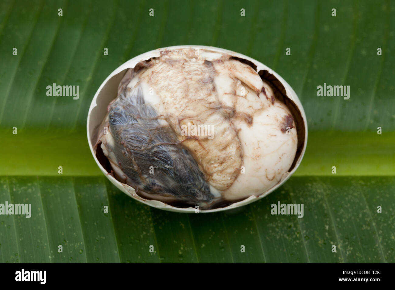 A partially opened balut, or fertilized duck egg, pictured on a banana leaf in Oriental Mindoro, Philippines. Stock Photo