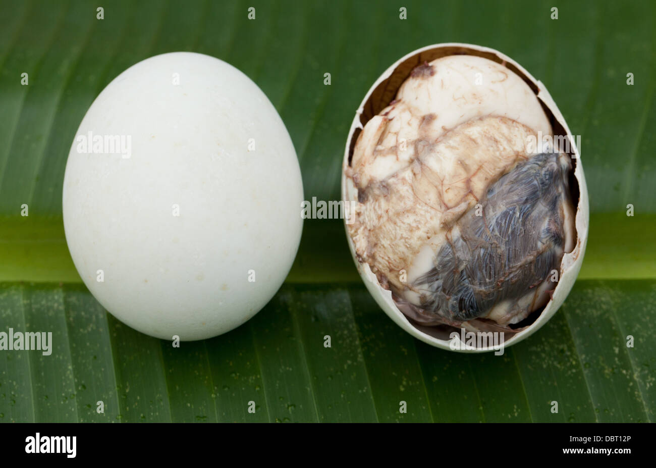 A partially open balut, or fertilized duck egg, pictured on banana leaf alongside a whole one in Oriental Mindoro, Philippines. Stock Photo