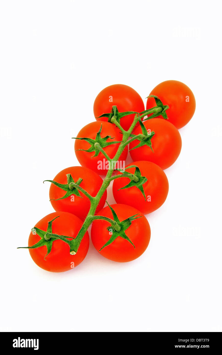 Vine Tomatoes on white Background Stock Photo - Alamy