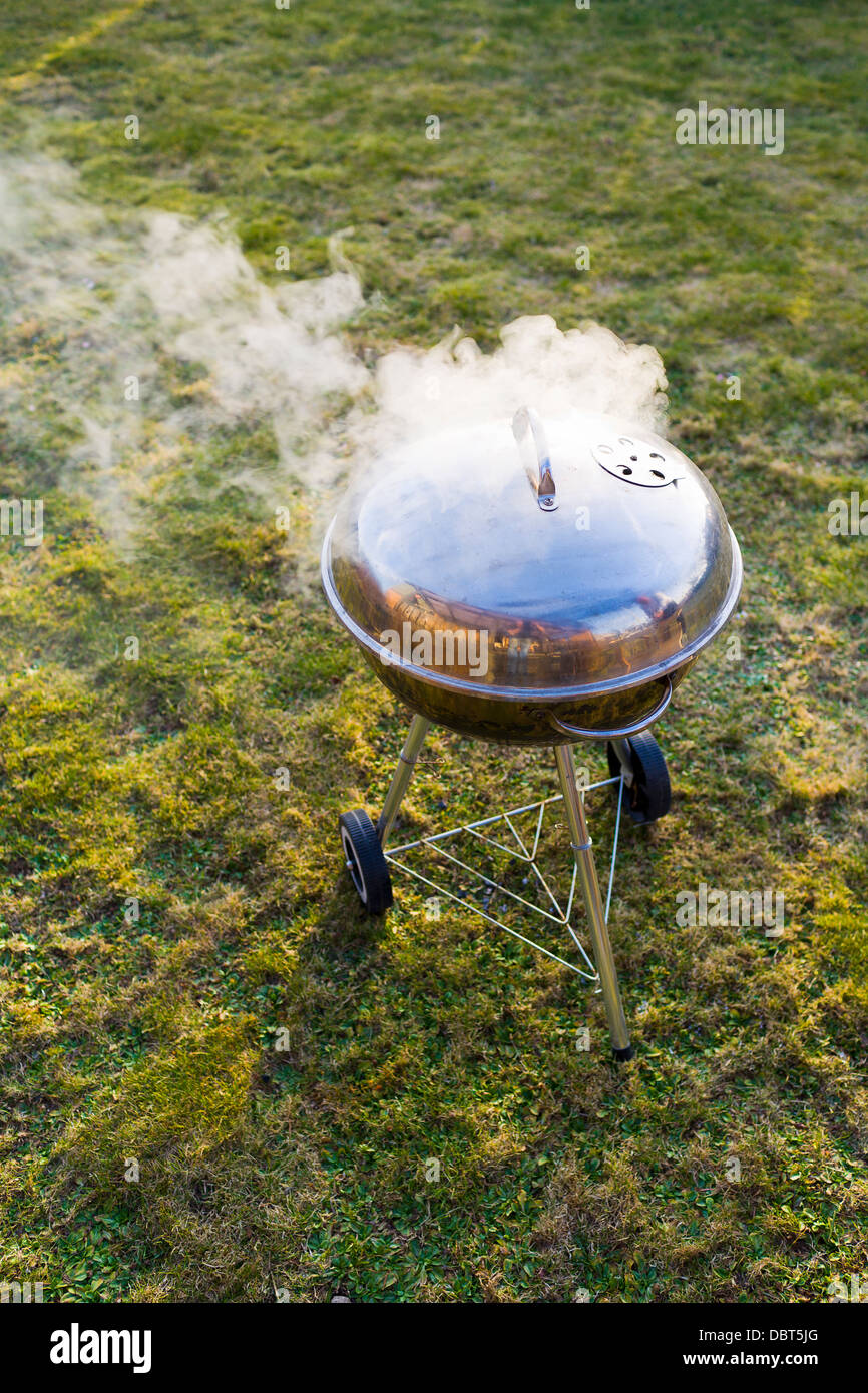 Grill on grass Stock Photo Alamy
