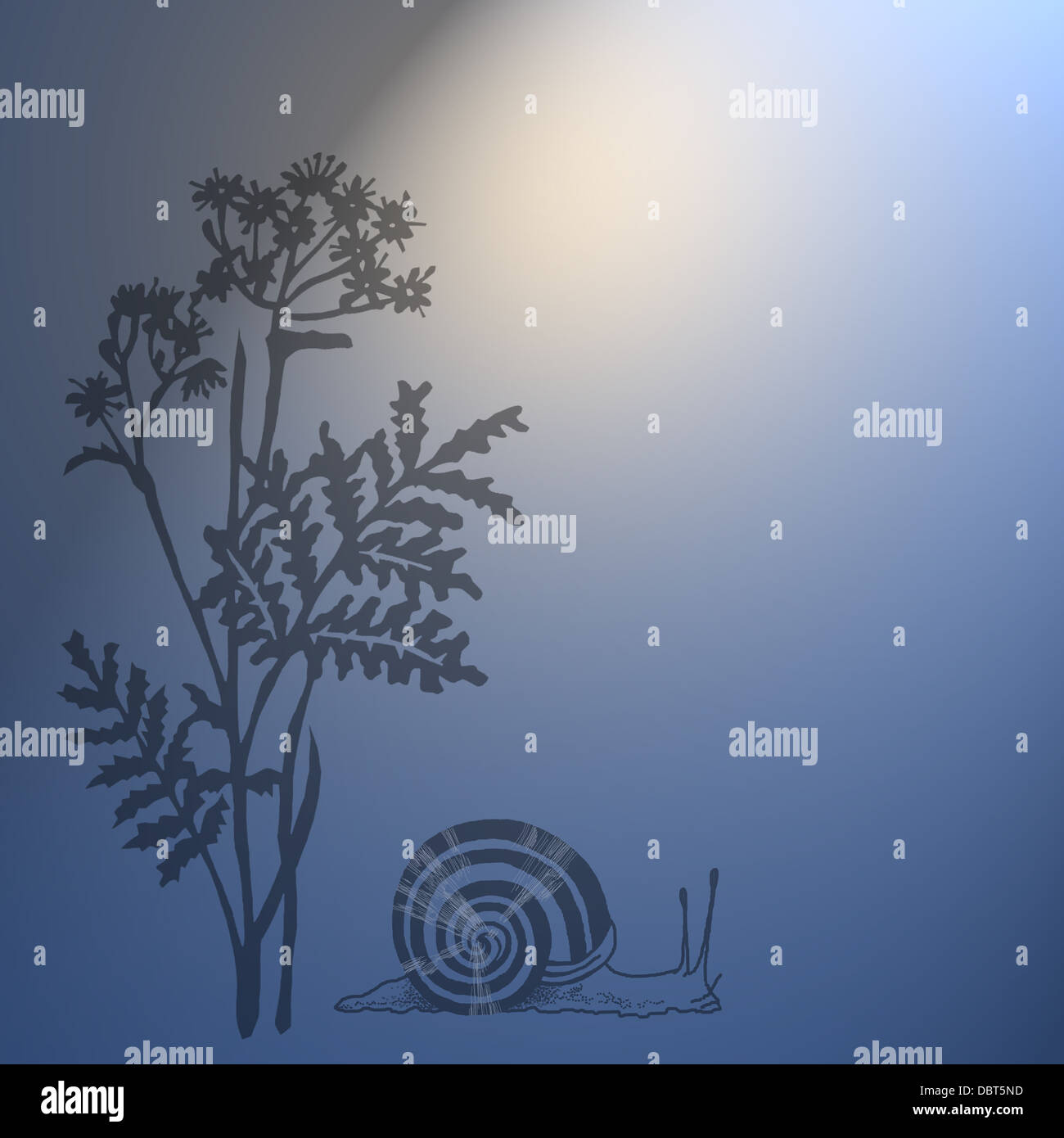 Flowers and garden snail on a night background Stock Photo Alamy