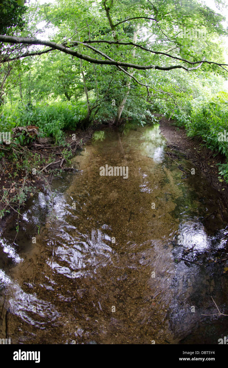 Chalk_stream hires stock photography and images Alamy