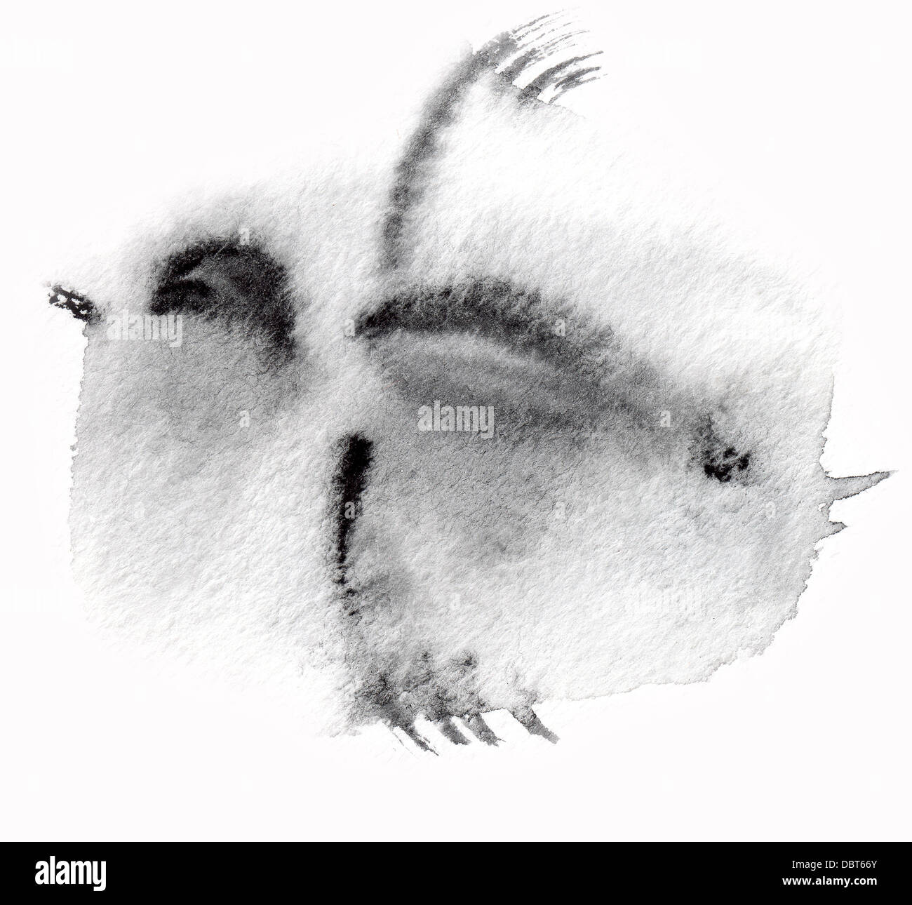 Bird drawn in ink Stock Photo - Alamy