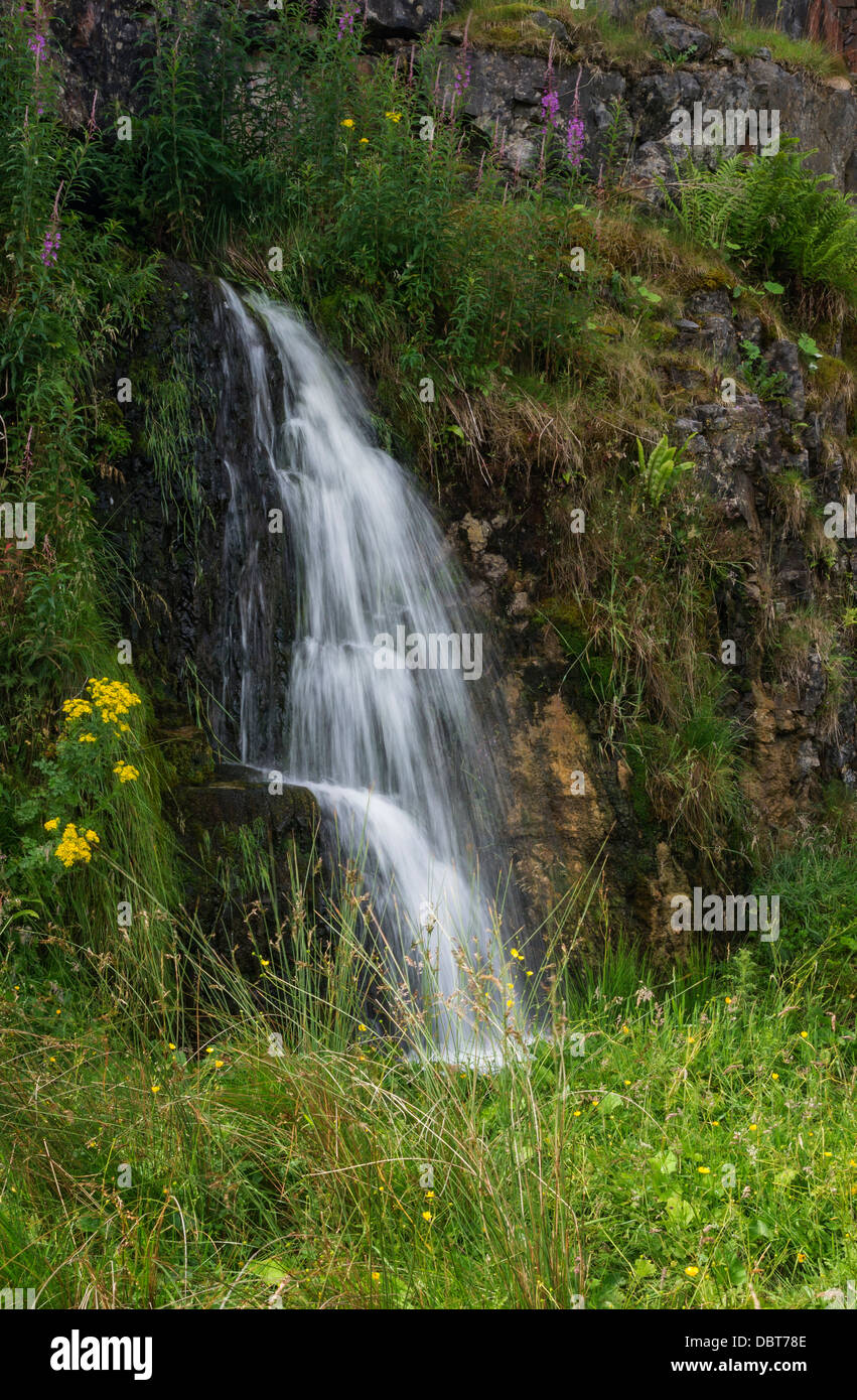 Waterfall, Ingleborough Quarry National Nature Reserve at Ribblehead, Yorkshire Dales. Stock Photo