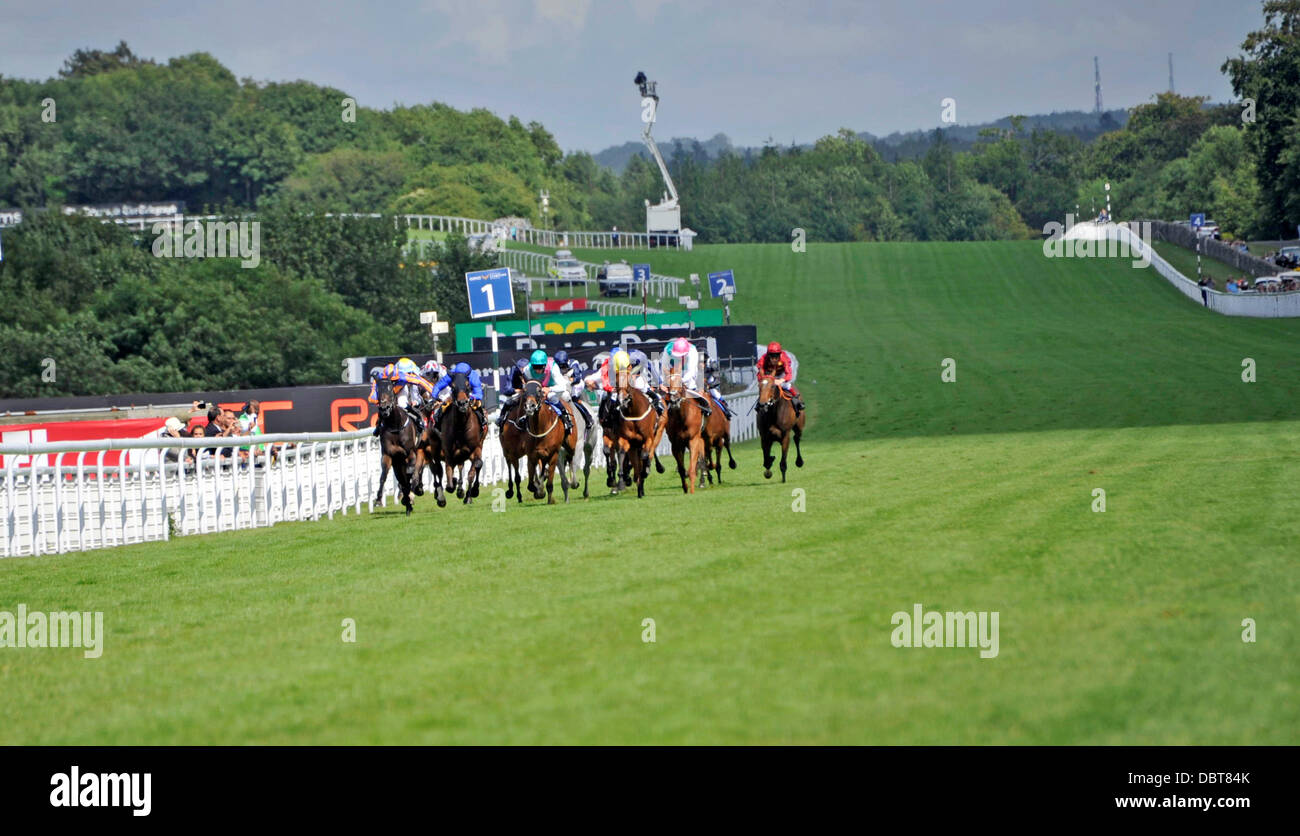 Goodwood horse racing course england hi-res stock photography and ...