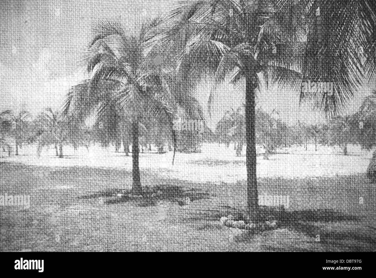 Caribbean beach with palms, paradise island Stock Photo