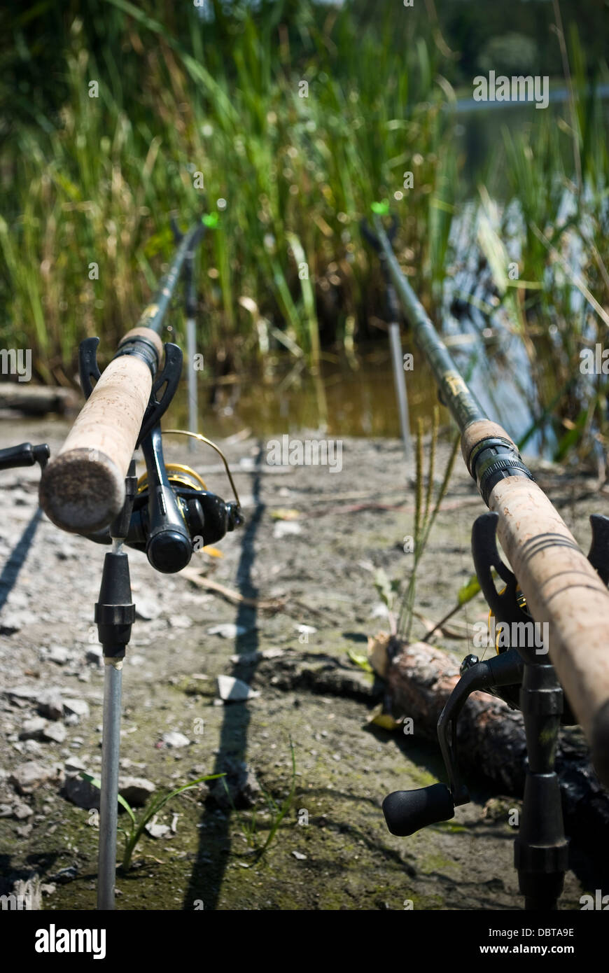 Feeder Method Fishing Rods Hi res Stock Photography And Images Alamy