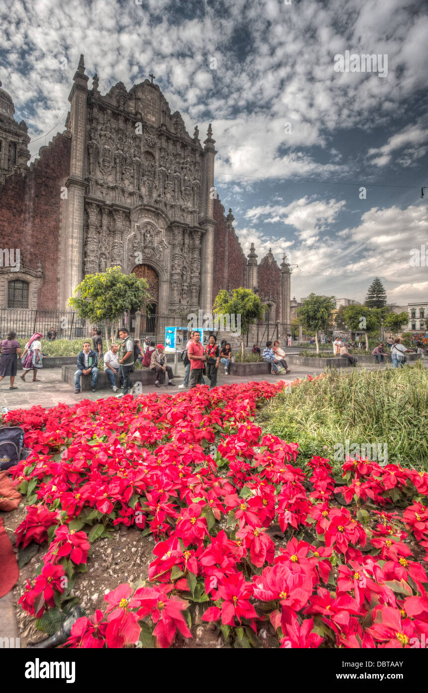 Mexico city museum hi-res stock photography and images - Alamy