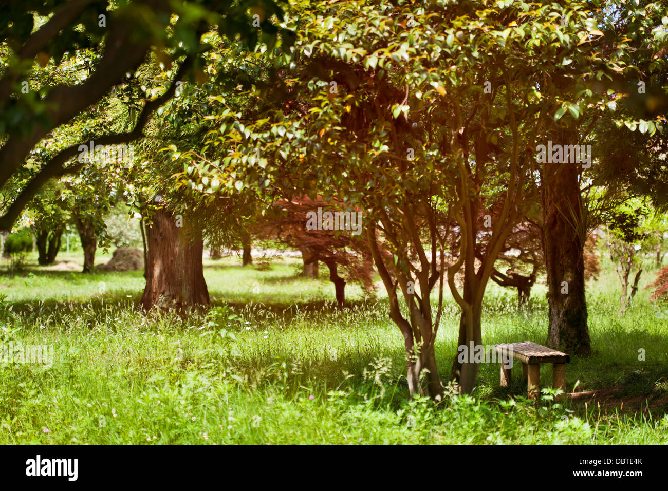 Wooden bench in the lovely park Stock Photo - Alamy