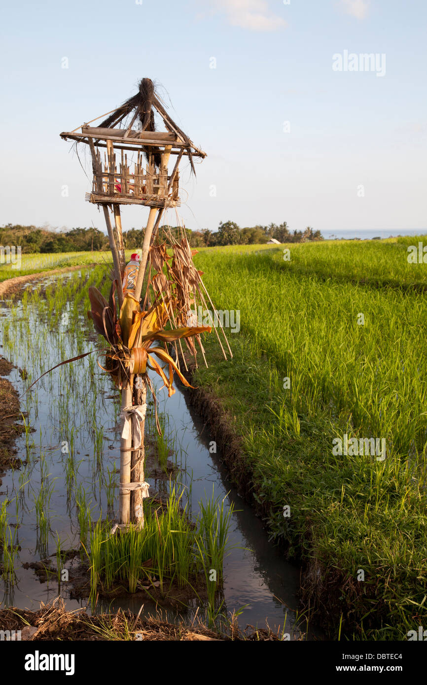 Terraced field hi-res stock photography and images - Alamy