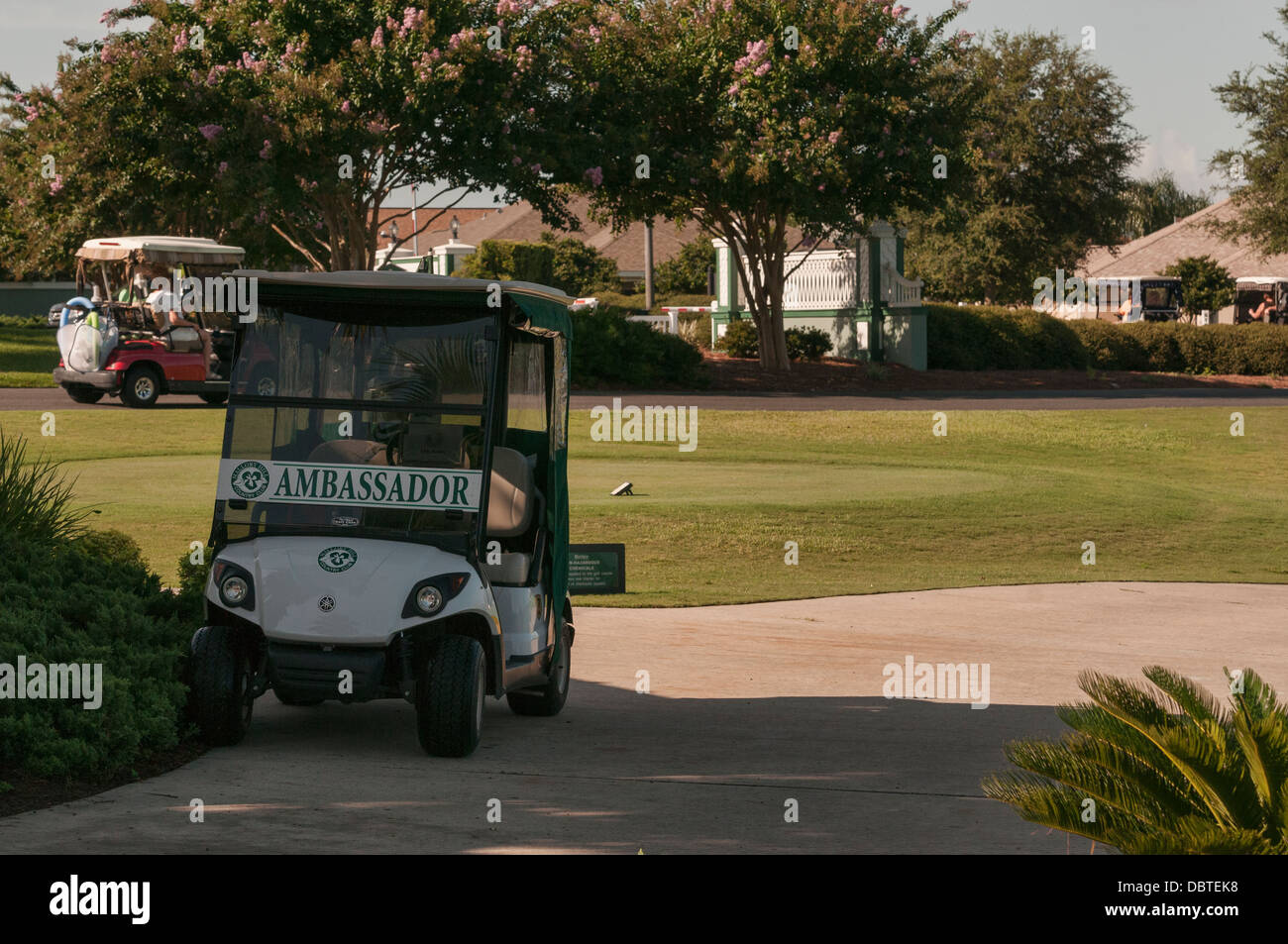 Ambassador's Golf cart for the Mallory Hill Country Club in The