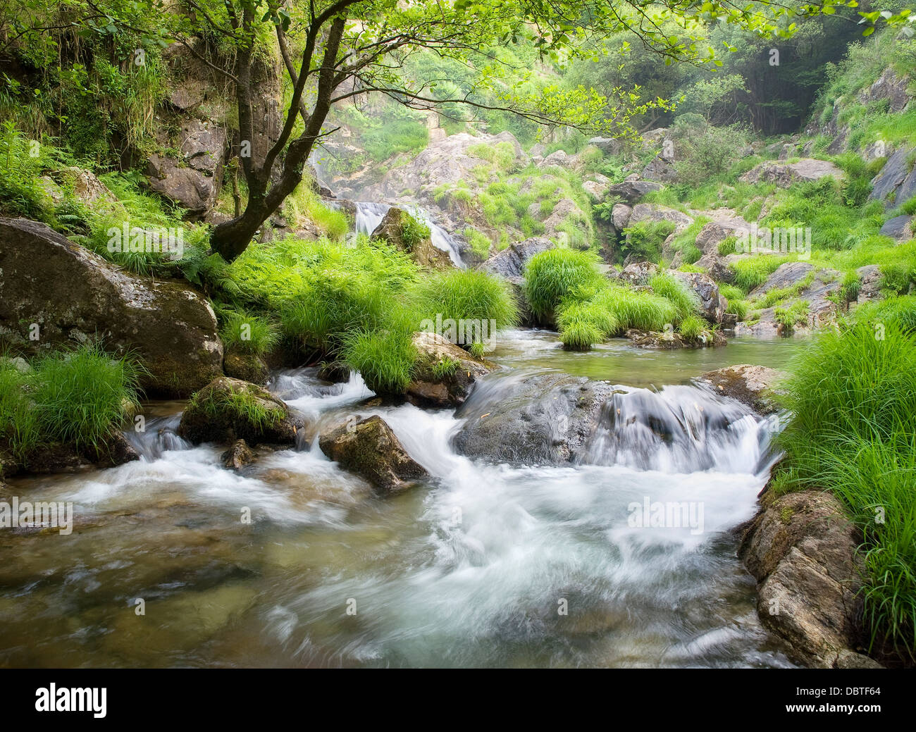 Beautiful river in Galicia. This river is called Belelle and is located in Neda, Galicia, Spain. Stock Photo