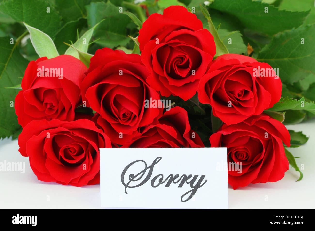Sorry card with red roses Stock Photo - Alamy
