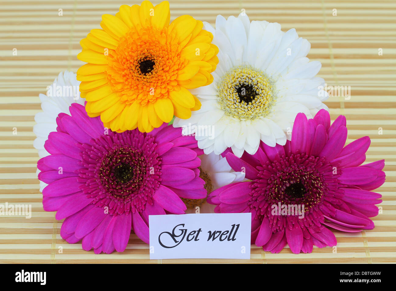 Get Well Card With Gerbera Daisies Bouquet Stock Photo Alamy get-well-card-with-gerbera-daisies-bouquet-stock-photo-alamy