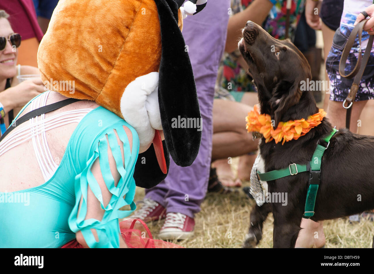 Dog fancy dress hires stock photography and images Alamy