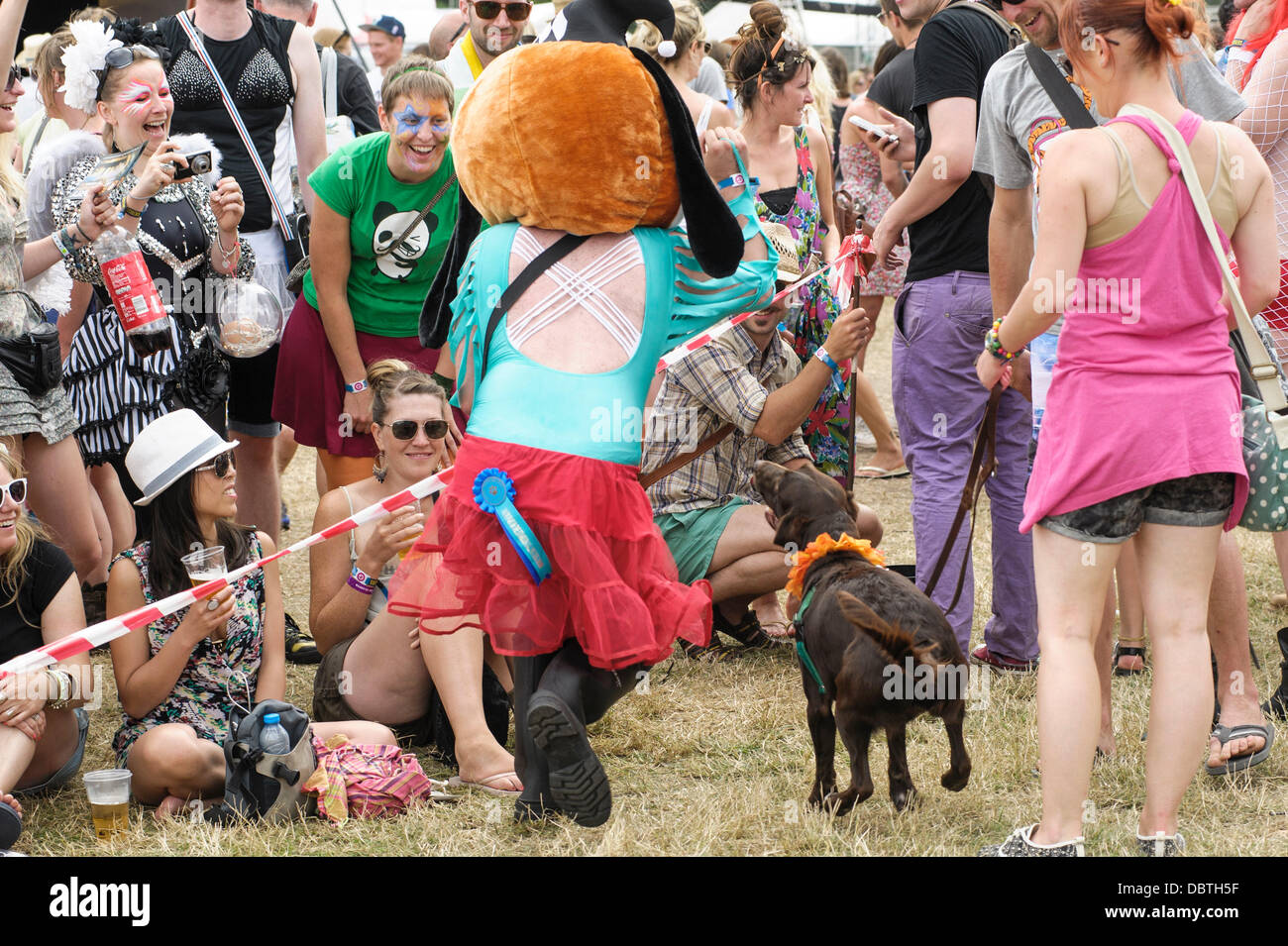 Dog fancy dress hires stock photography and images Alamy