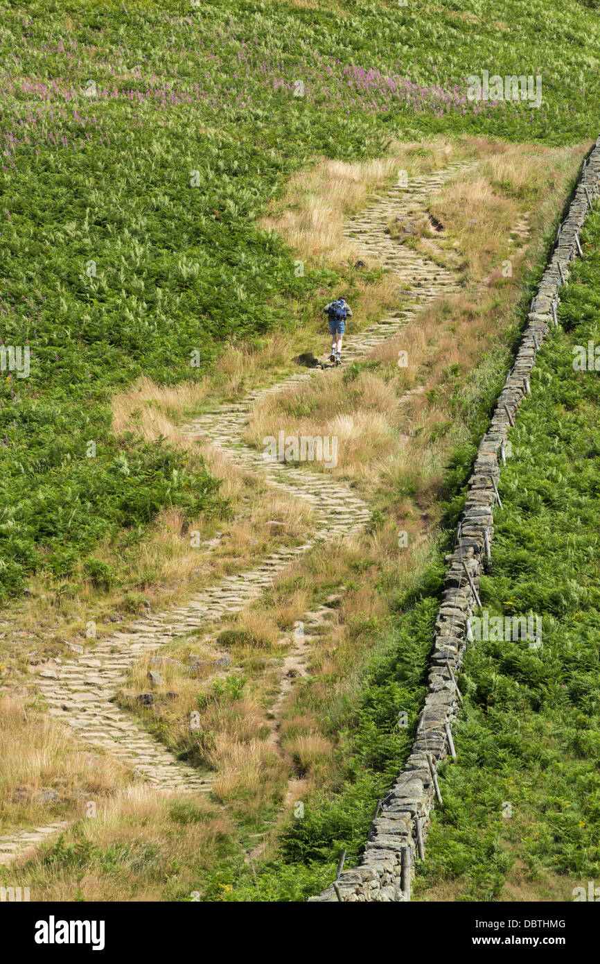 Hiker on footpath to Newton Moor having just descended Roseberry Topping in The North York Moors National Park. England, UK Stock Photo