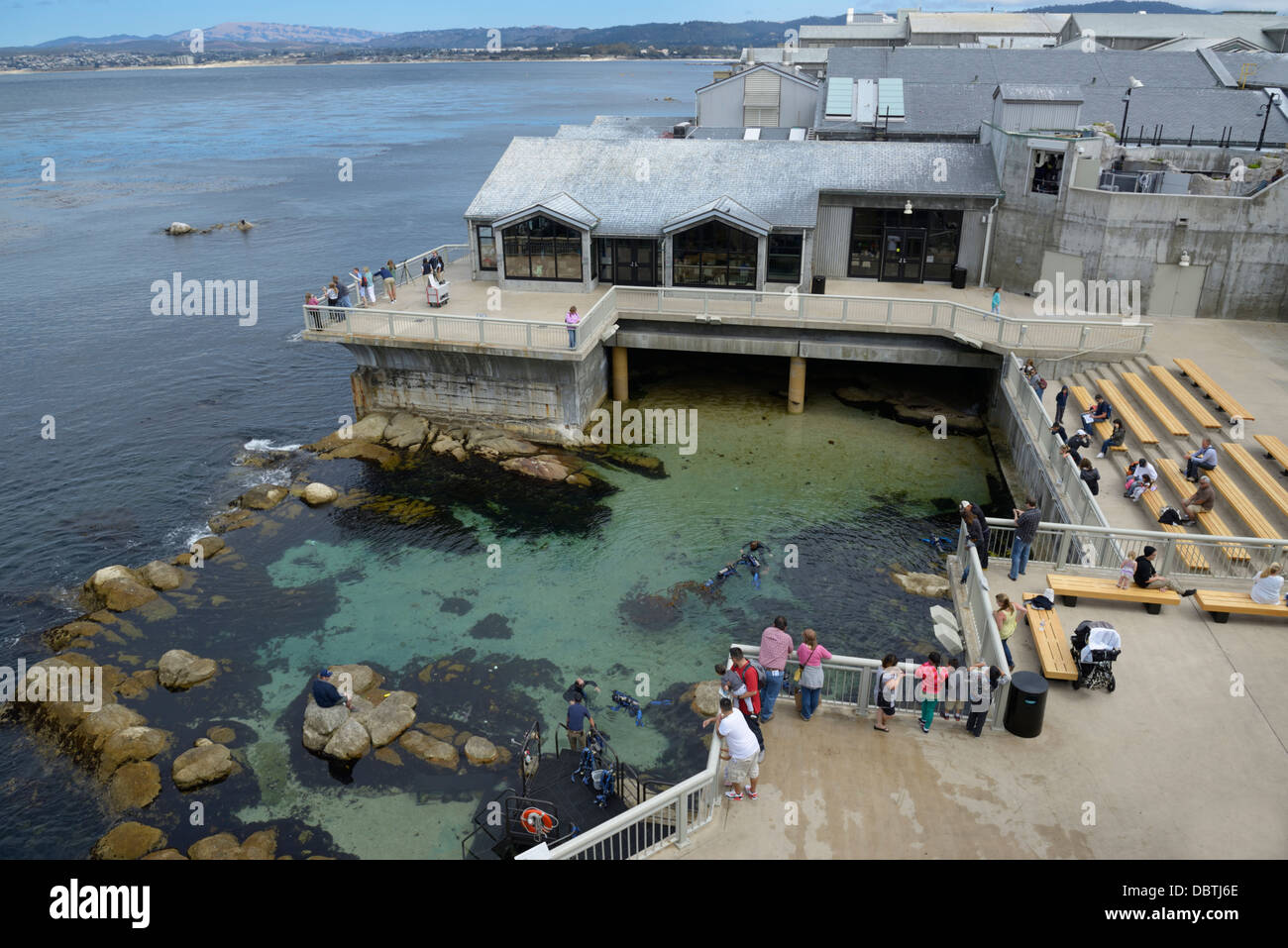 Monterey Bay Aquarium Stock Photo Alamy