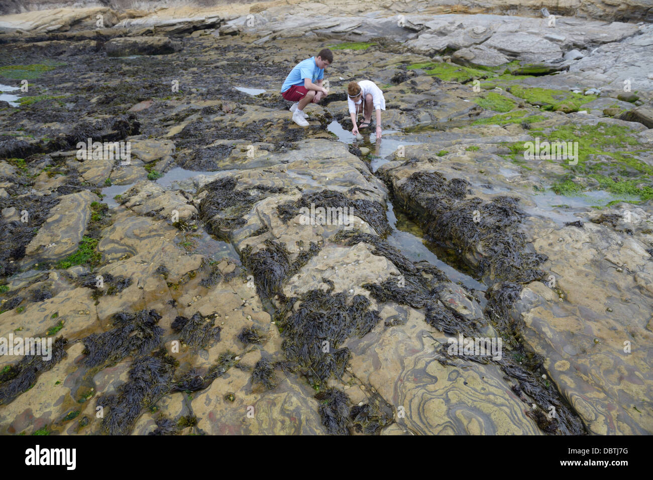 Teens tidepooling, Point Lobos State Natural Reserve, CA Stock Photo