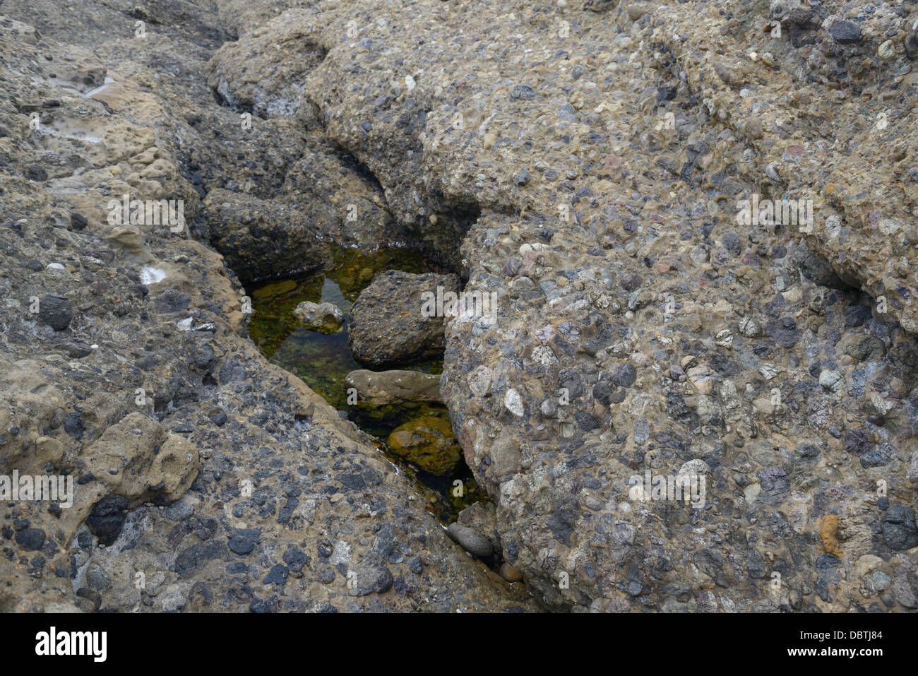 Conglomerate rock with sandstone and pebbles, the Carmelo Formation, Point Lobos State Natural Reserve, CA Stock Photo