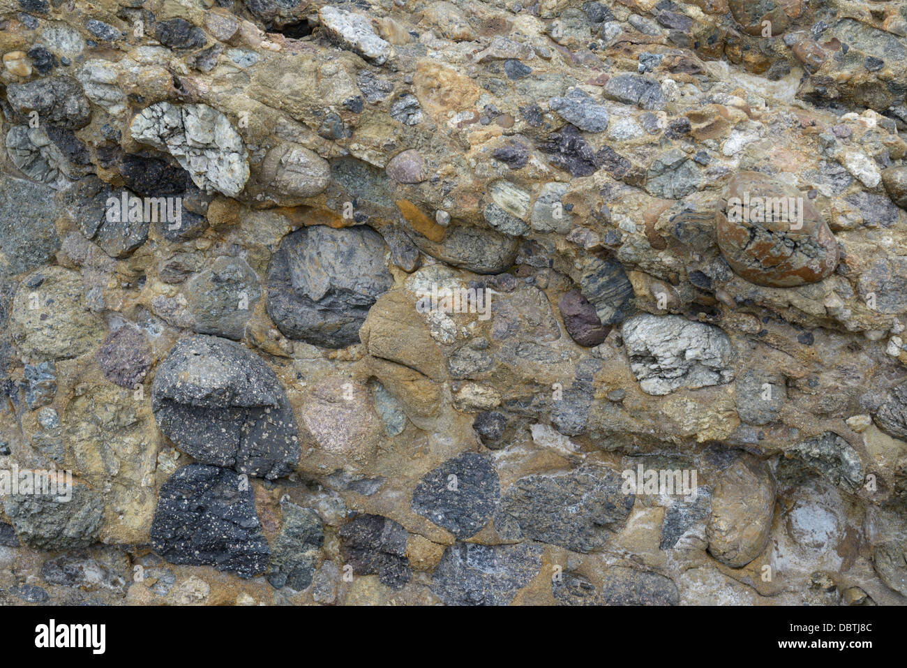 Conglomerate rock with sandstone and pebbles, the Carmelo Formation, Point Lobos State Natural Reserve, CA Stock Photo