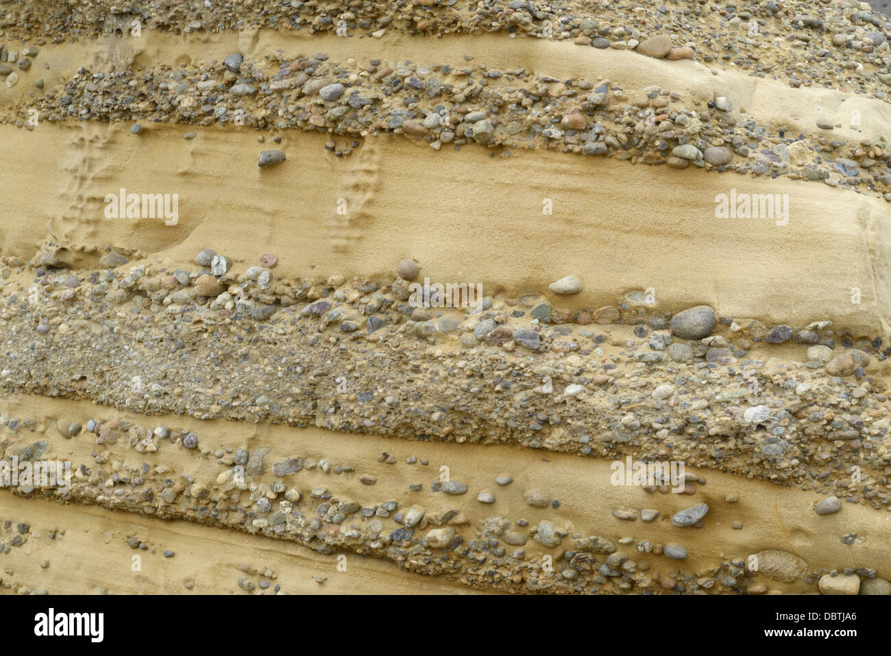 Conglomerate rock with sandstone and pebbles, the Carmelo Formation, Point Lobos State Natural Reserve, CA Stock Photo