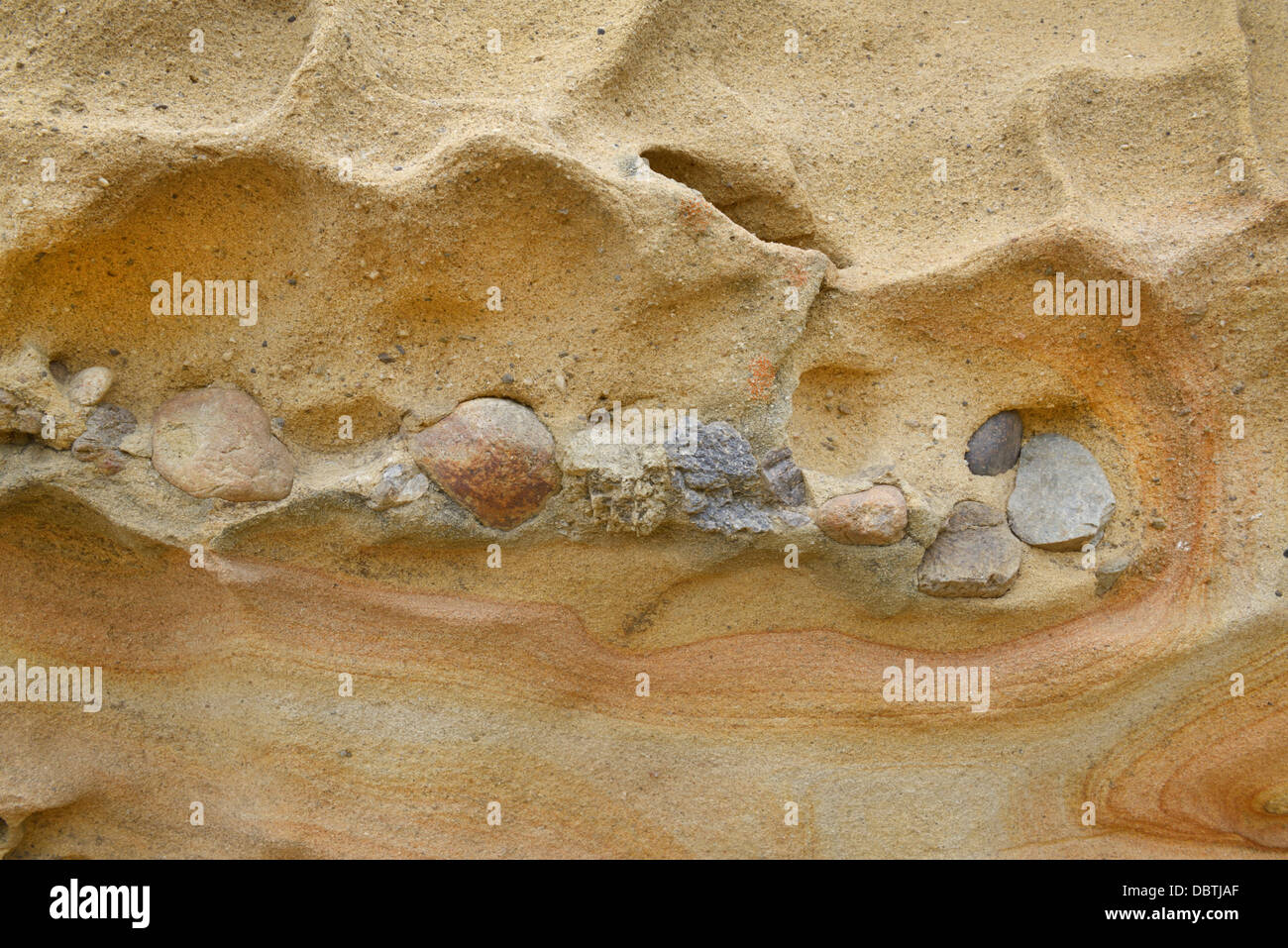 Conglomerate rock with sandstone and pebbles, the Carmelo Formation, Point Lobos State Natural Reserve, CA Stock Photo