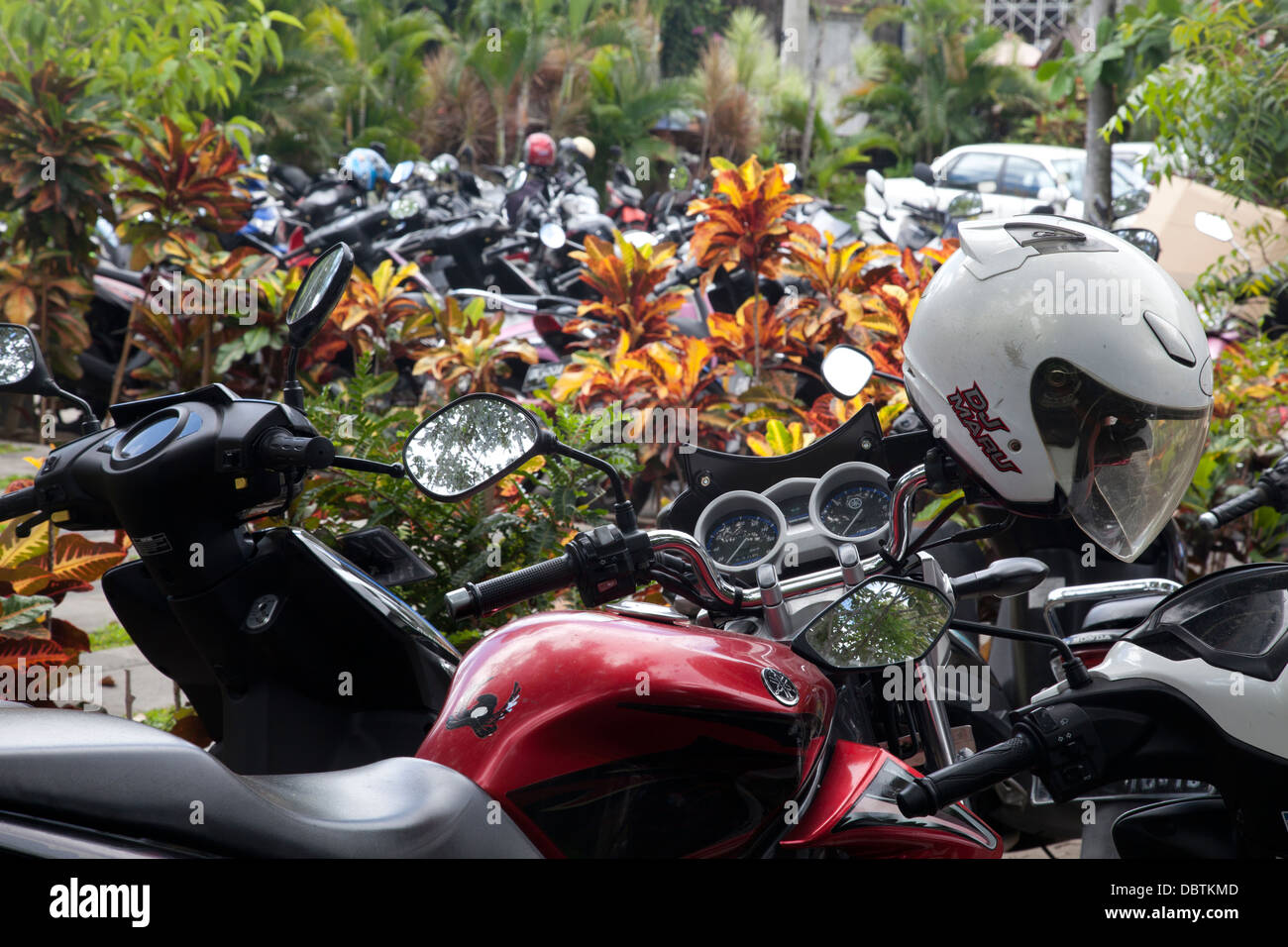 Motorbikes Parked, Seminyak, Bali, Indonesia Stock Photo Alamy