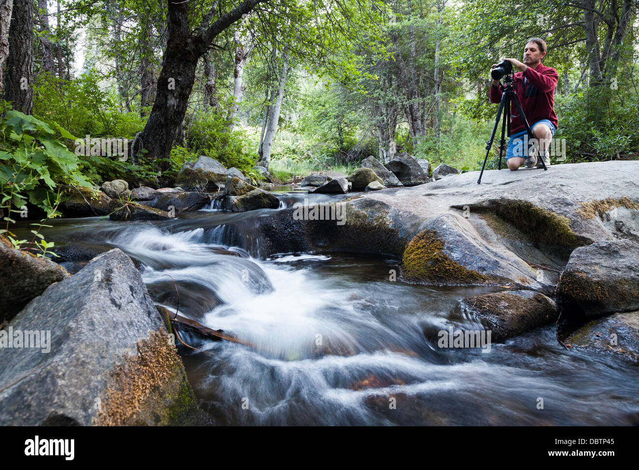 Photographer photographing flowing forest stream Stock Photo