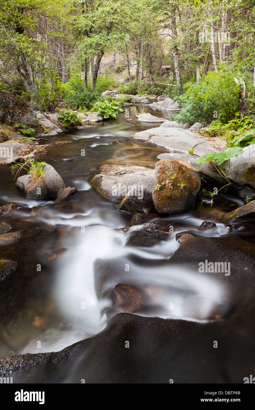 Flowing stream Stock Photo