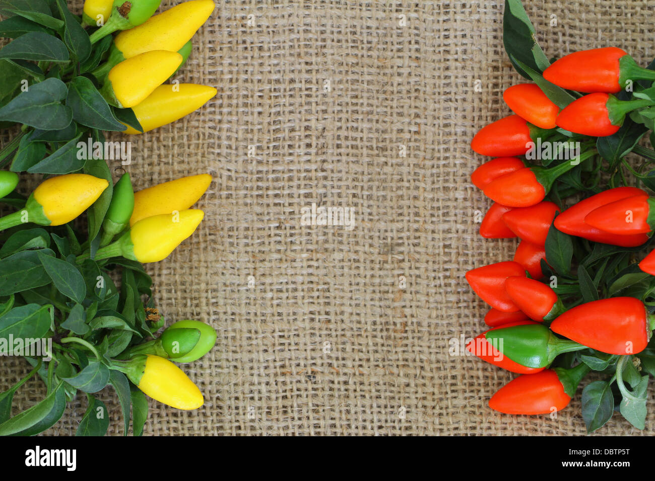 Hot red and yellow chili peppers on jute surface with copy space Stock ...