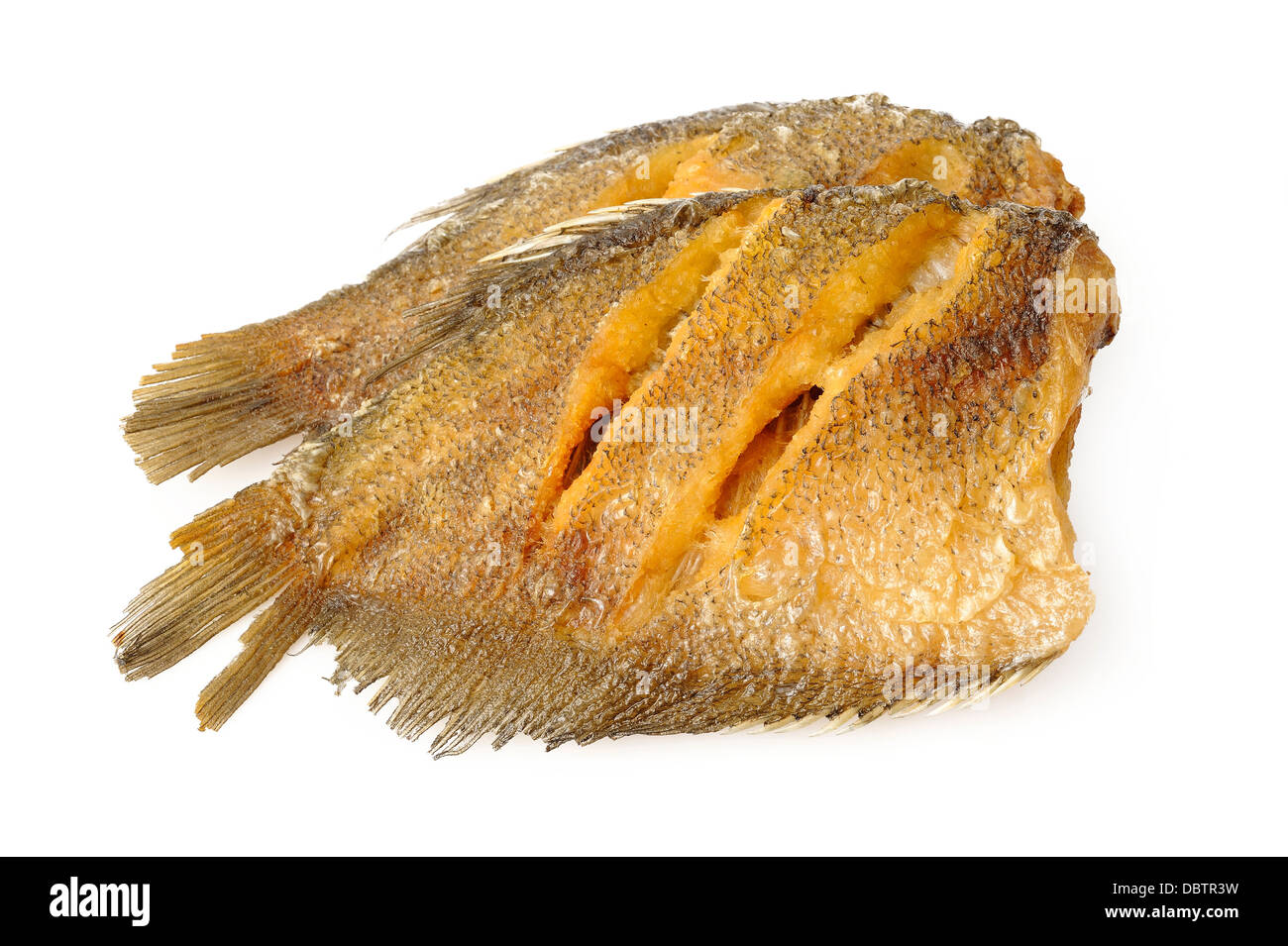 fried trichogaster pectoralis fish on white background Stock Photo