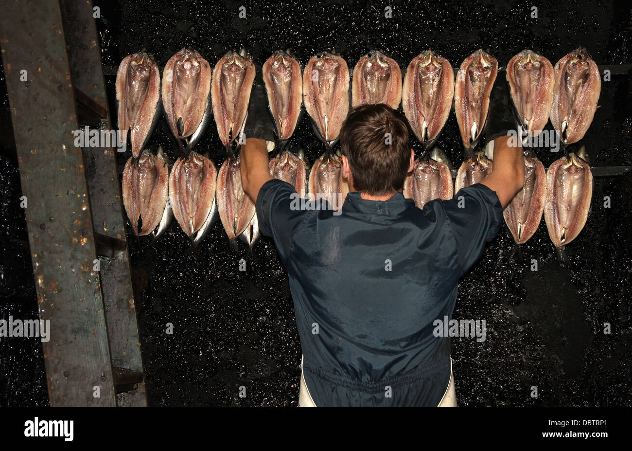 Prepared fish being loaded into smoking room for processing. Stock Photo