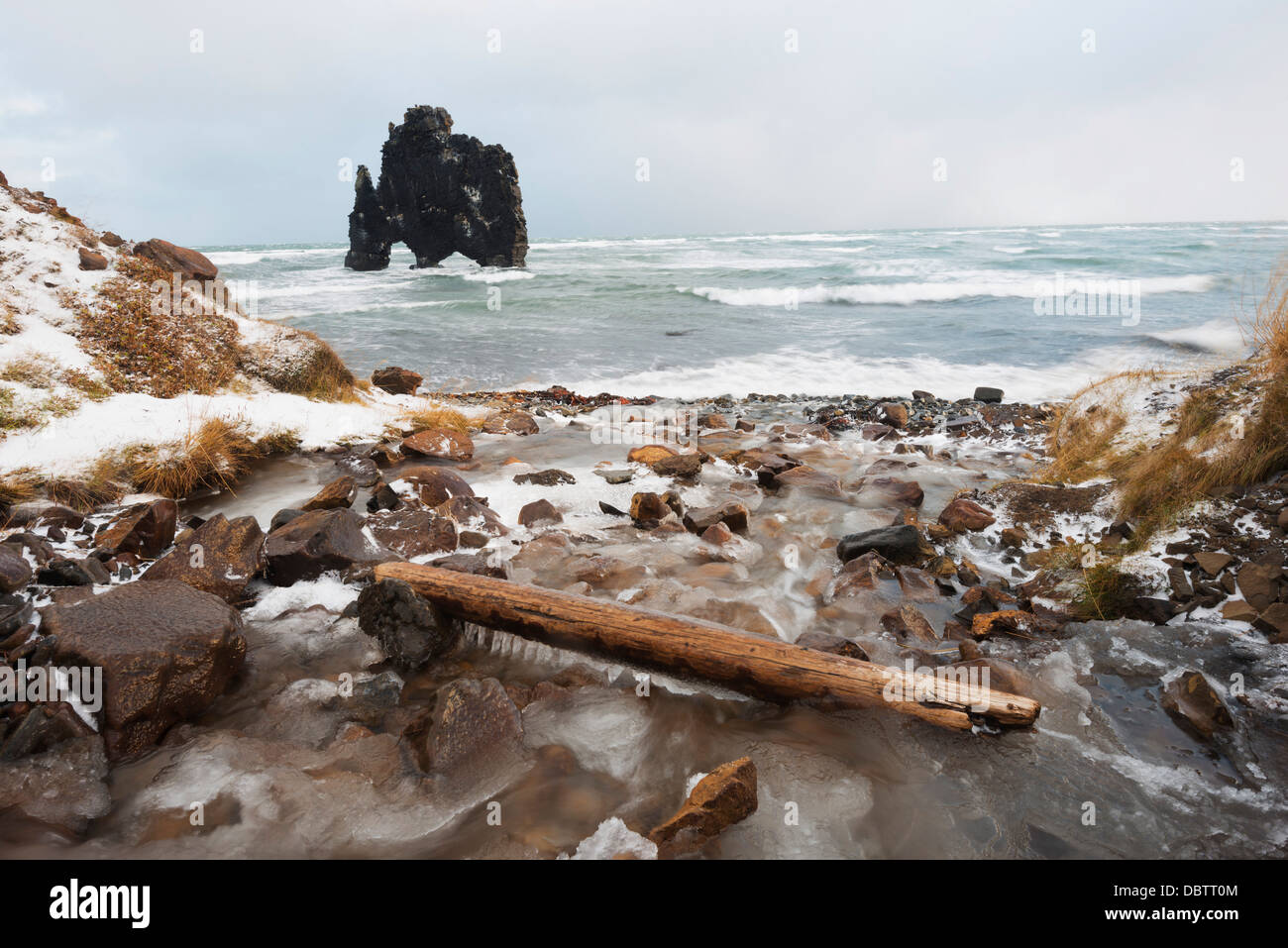 Hvitserkur rock formation, Vatnsnes peninsular, Iceland, Polar Regions Stock Photo