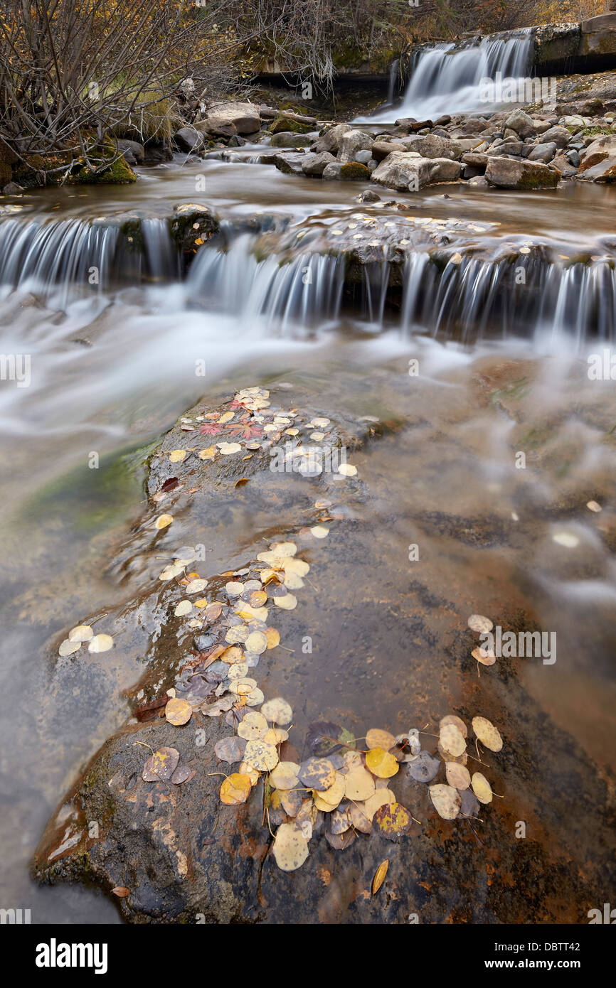 Falls on the Big Bear Creek in the fall, San Miguel County, Colorado, United States of America, North America Stock Photo