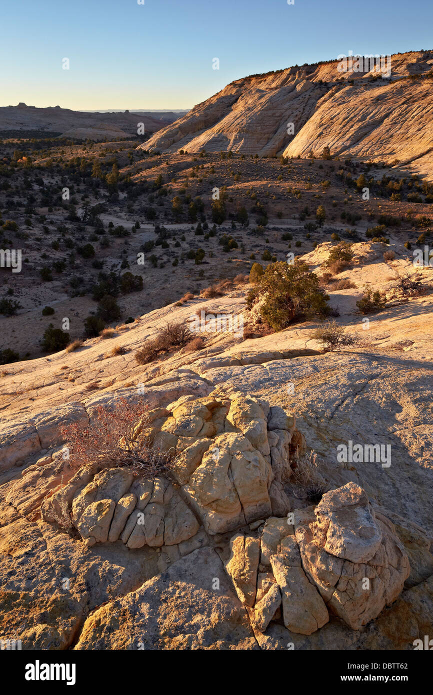 Sandstone, hills at first light, Grand Staircase-Escalante National Monument, Utah, United States of America, North America Stock Photo