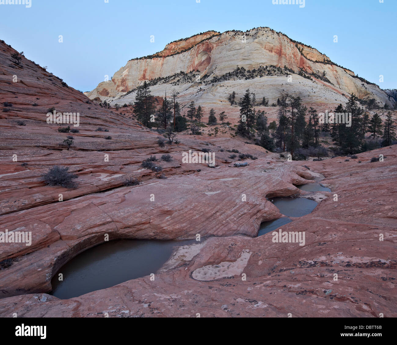 Pools in slick rock at dawn, Zion National Park, Utah, United States of America, North America Stock Photo