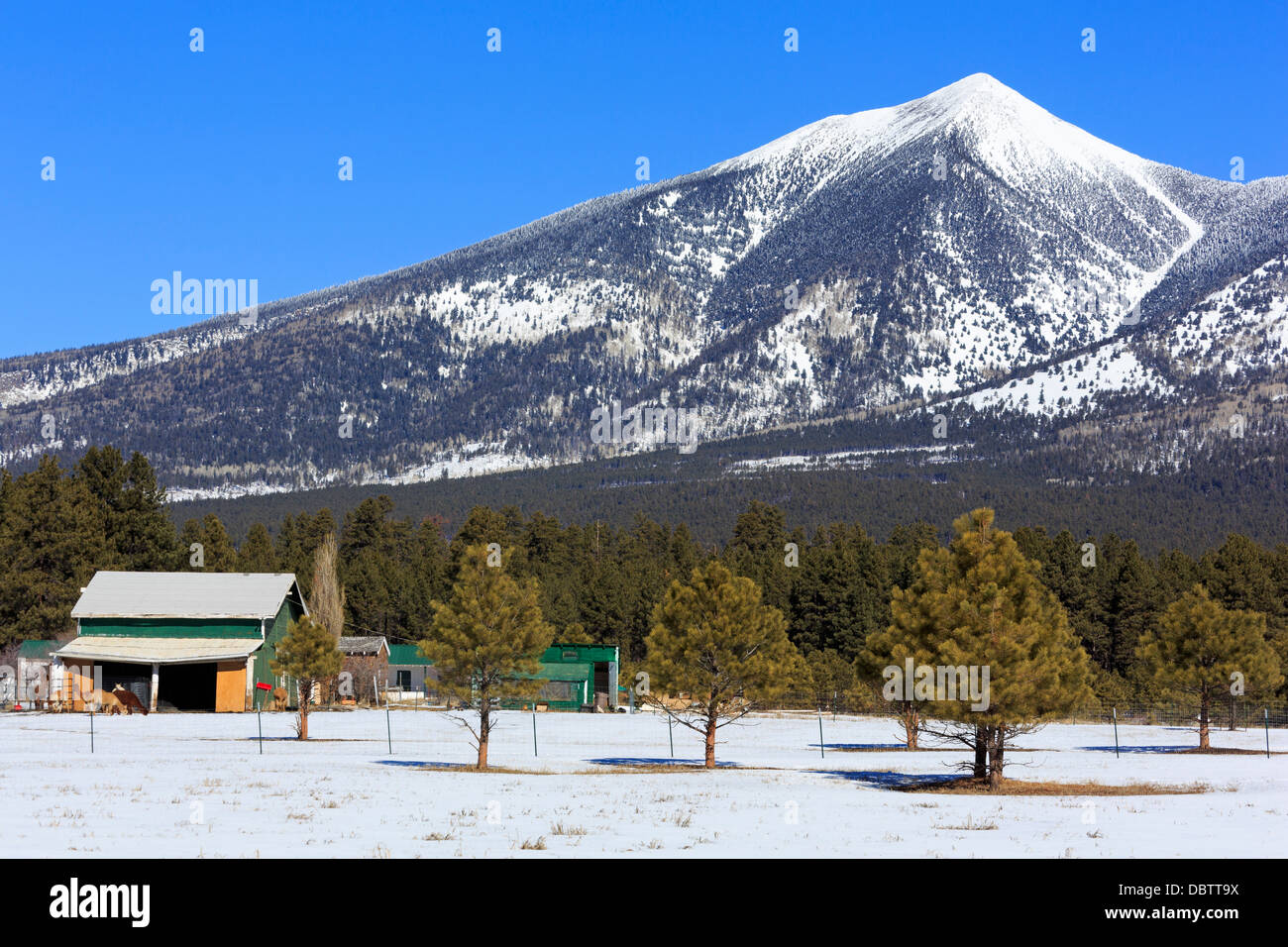 Flagstaff arizona snow hi-res stock photography and images - Alamy