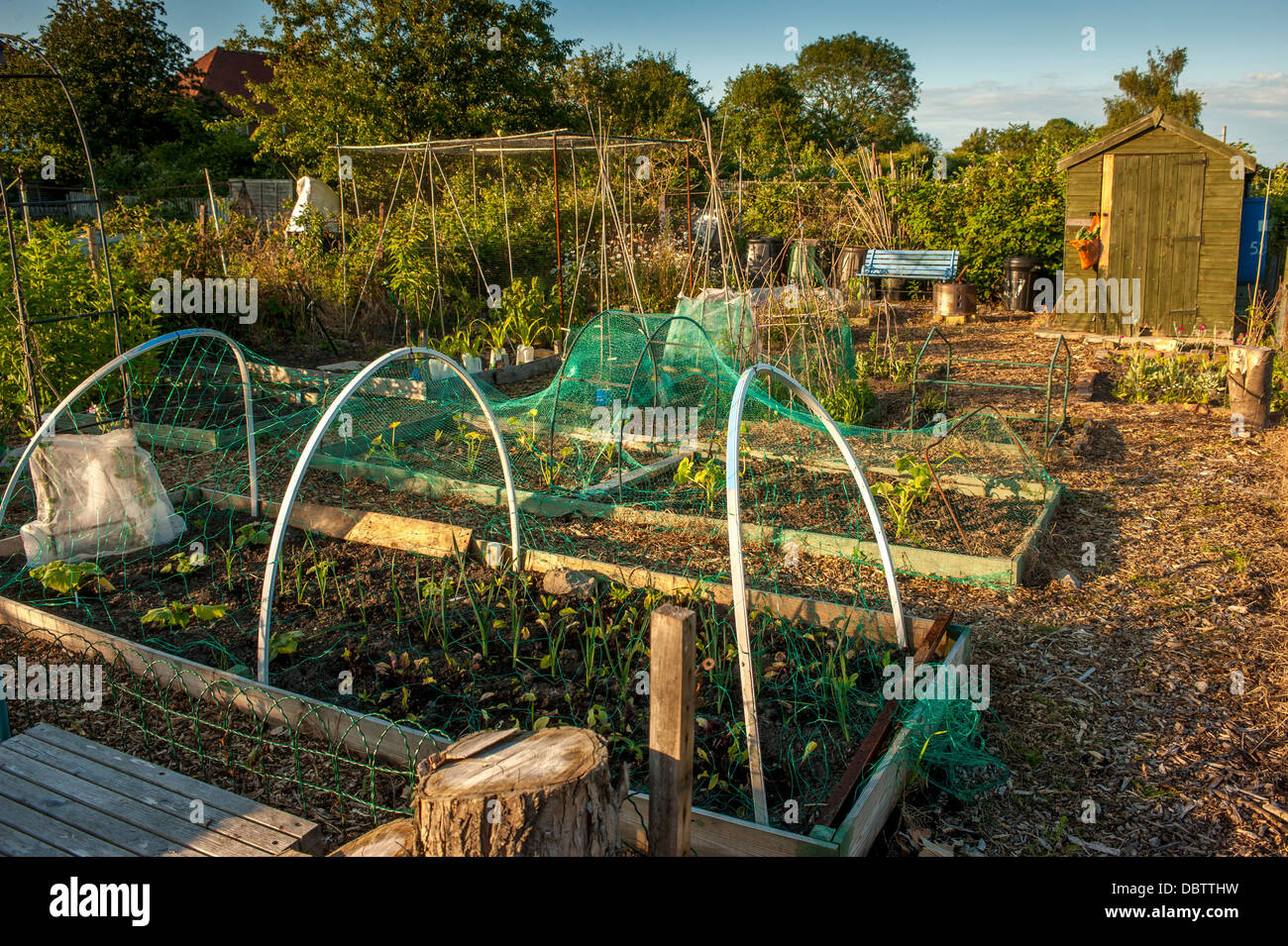 Raised beds covered with netting hires stock photography and images