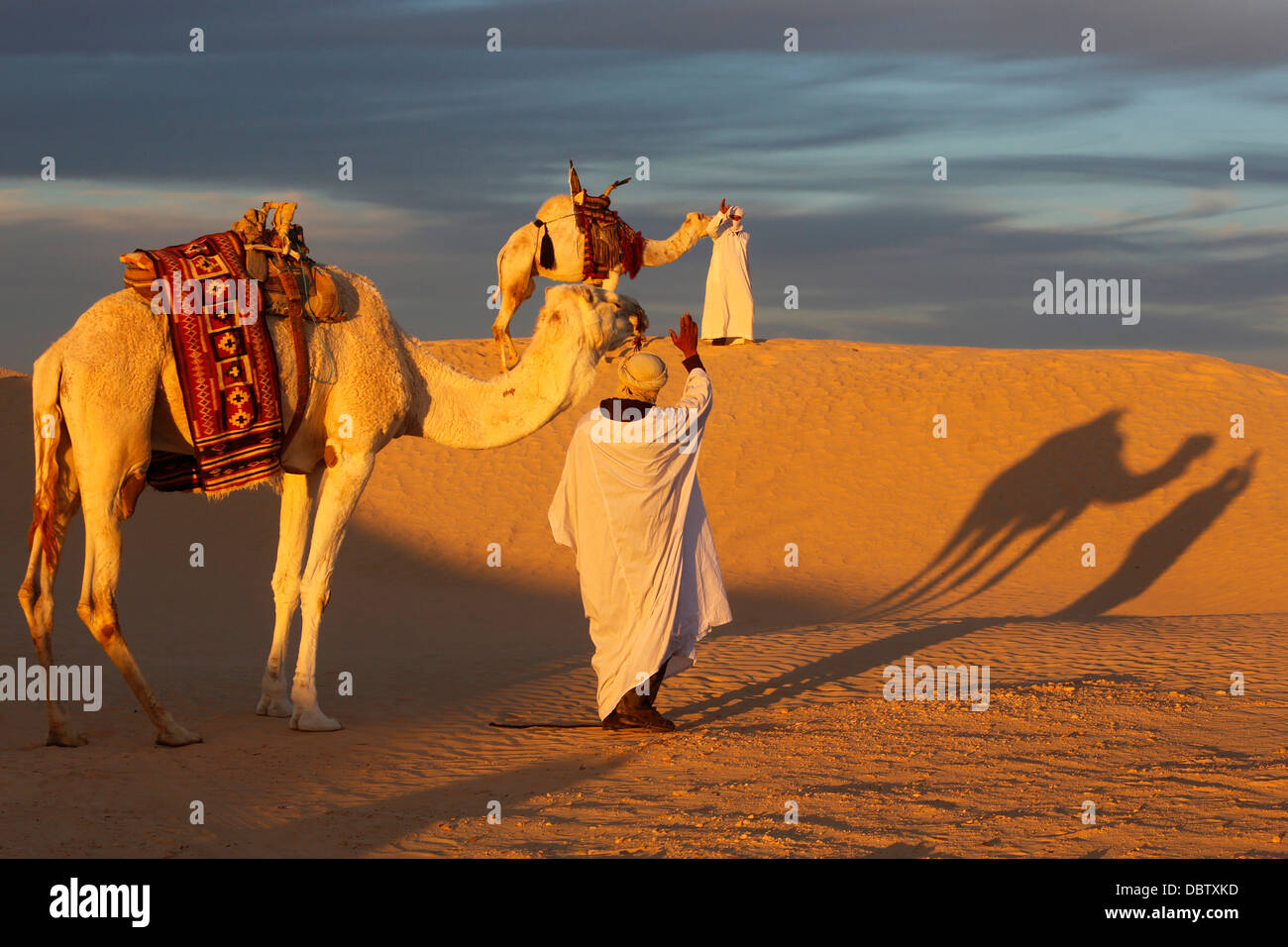 Camel drivers meeting in the Sahara, Douz, Kebili, Tunisia, North Africa, Africa Stock Photo