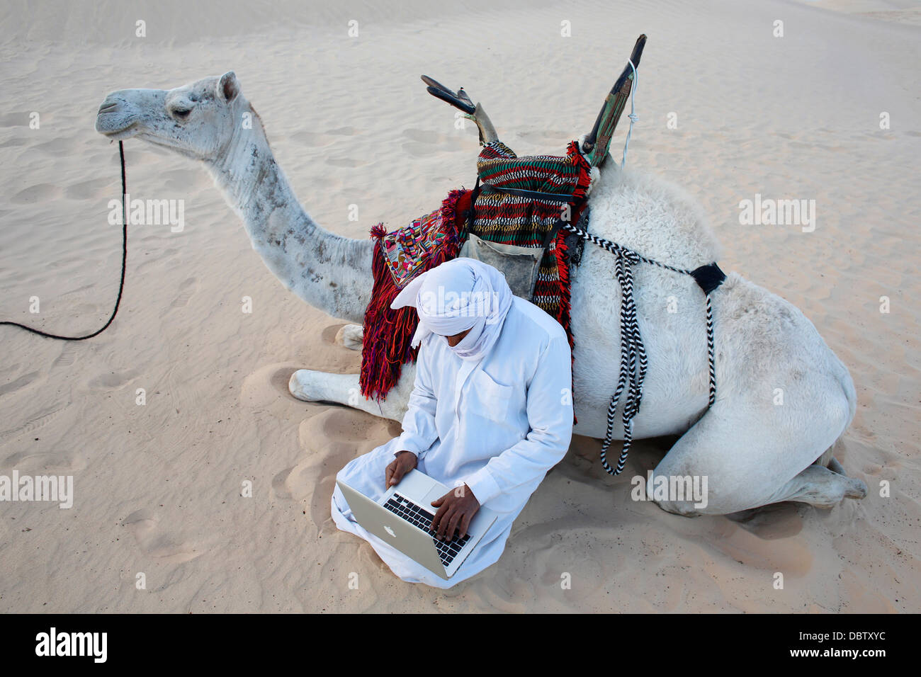 Bedouin using a laptop in the Sahara, Douz, Kebili, Tunisia, North Africa, Africa Stock Photo