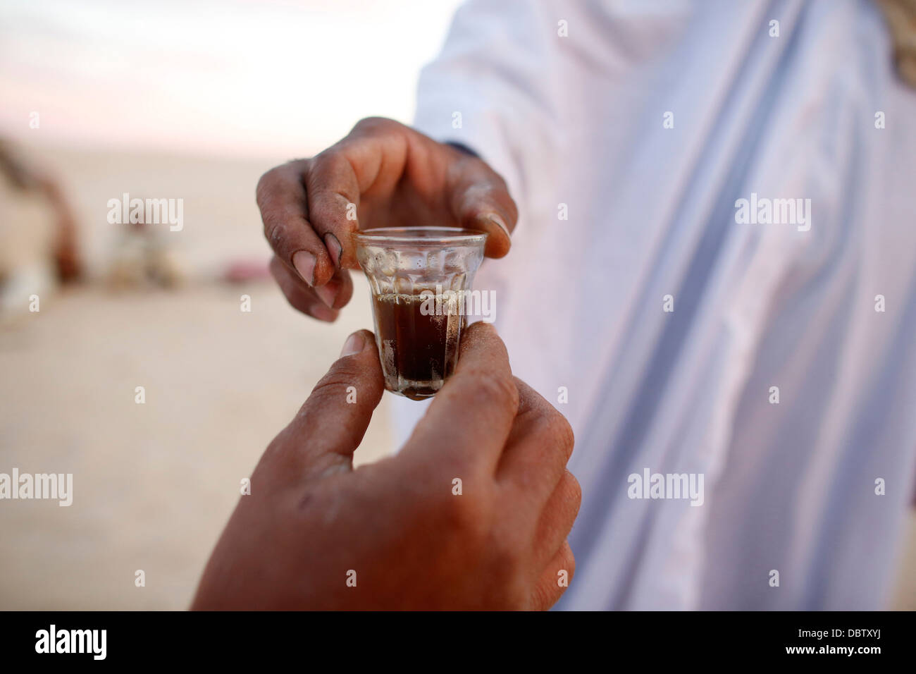 Bedouins sharing tea in the Sahara, Douz, Kebili, Tunisia, North Africa, Africa Stock Photo