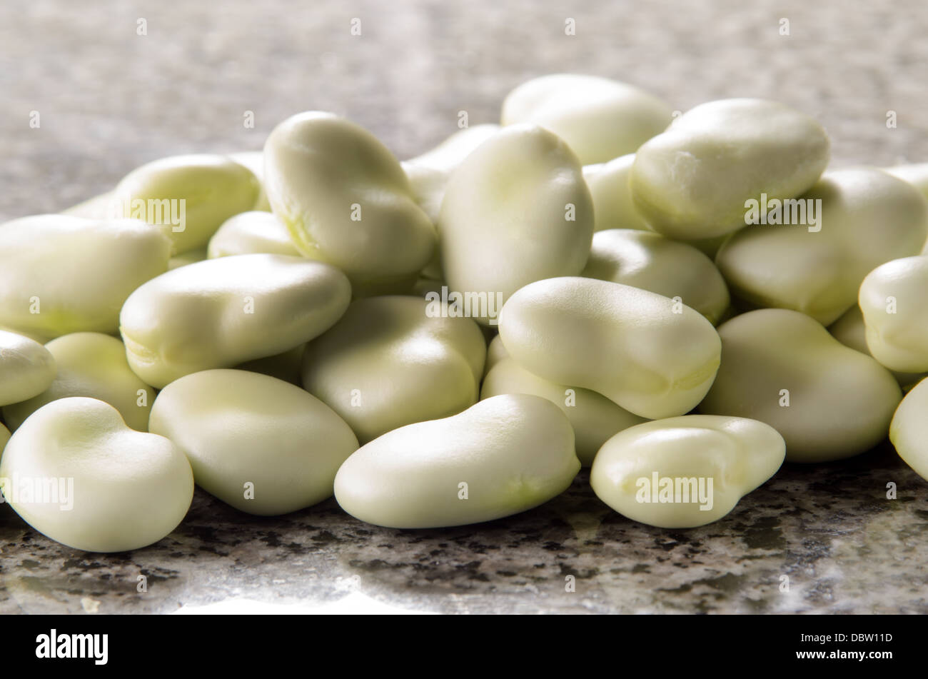 organic broad beans fresh from the garden Stock Photo Alamy